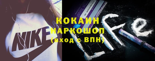 твердый Козельск