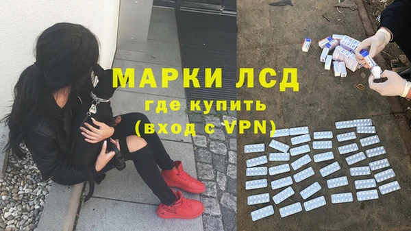 твердый Козельск