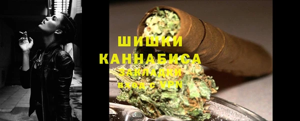 твердый Козельск