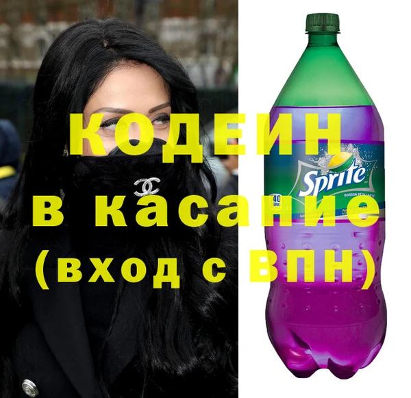 индика Коряжма