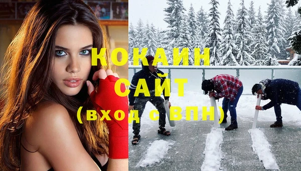 твердый Козельск