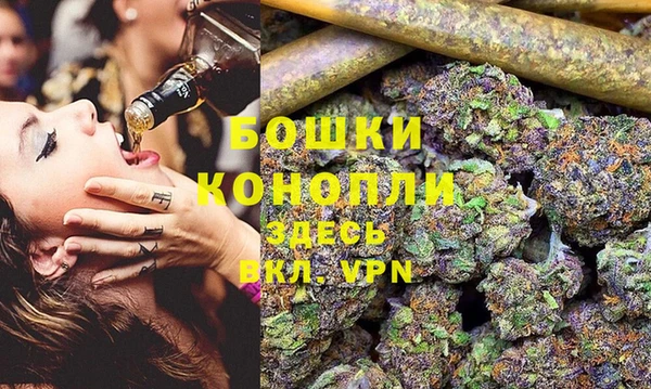 твердый Козельск