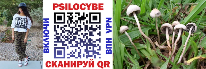Галлюциногенные грибы ЛСД  Купить закладки  Жердевка 